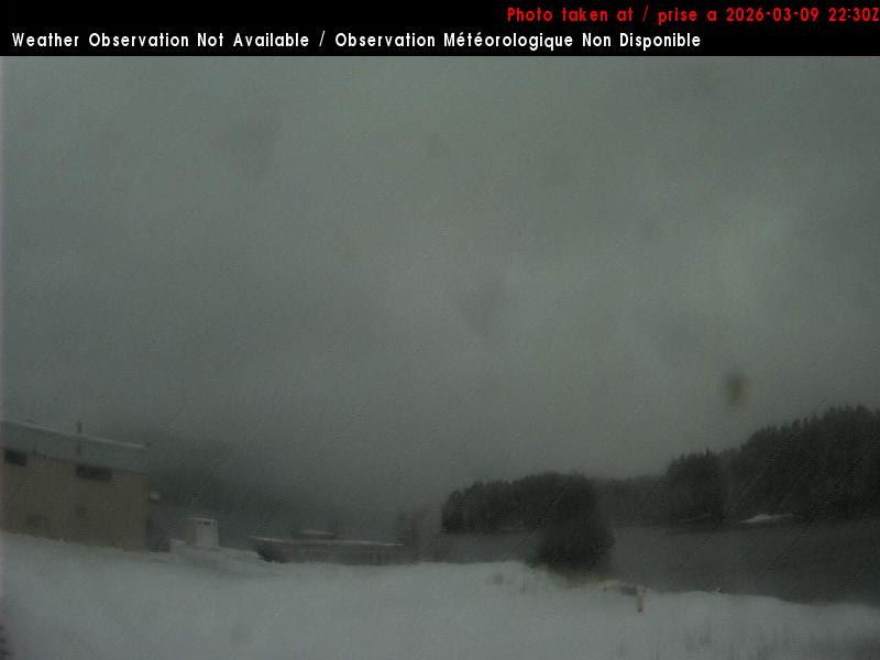 Seal Cove - Prince Rupert N View