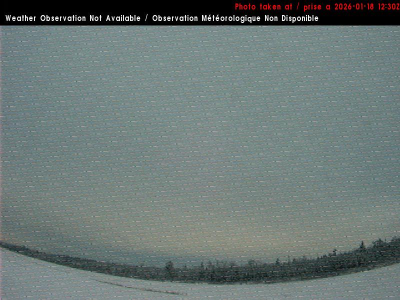 Web Cam image of St. Stephen Airport (South)