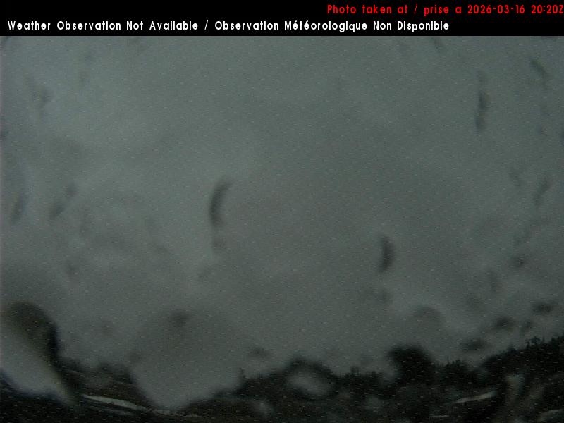 Web Cam image of St. Stephen Airport (South)