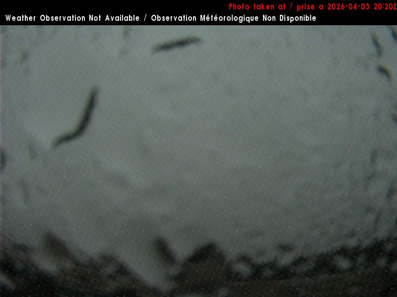 Web Cam image of St. Stephen Airport (South)