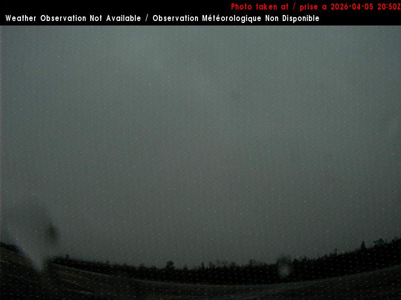 Web Cam image of St. Stephen Airport (South)