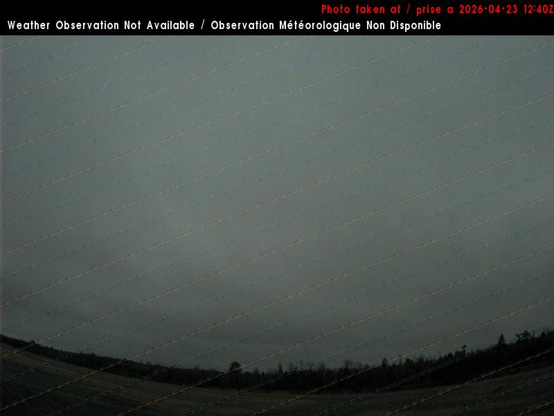 Web Cam image of St. Stephen Airport (South)