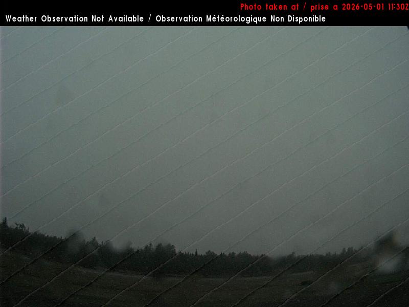 Web Cam image of St. Stephen Airport (West)