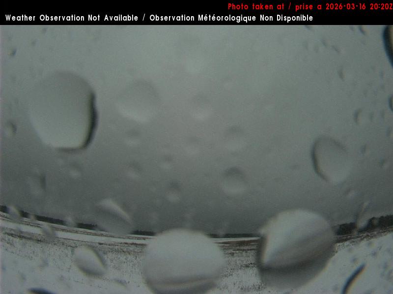 Web Cam image of Miramichi Airport (South)
