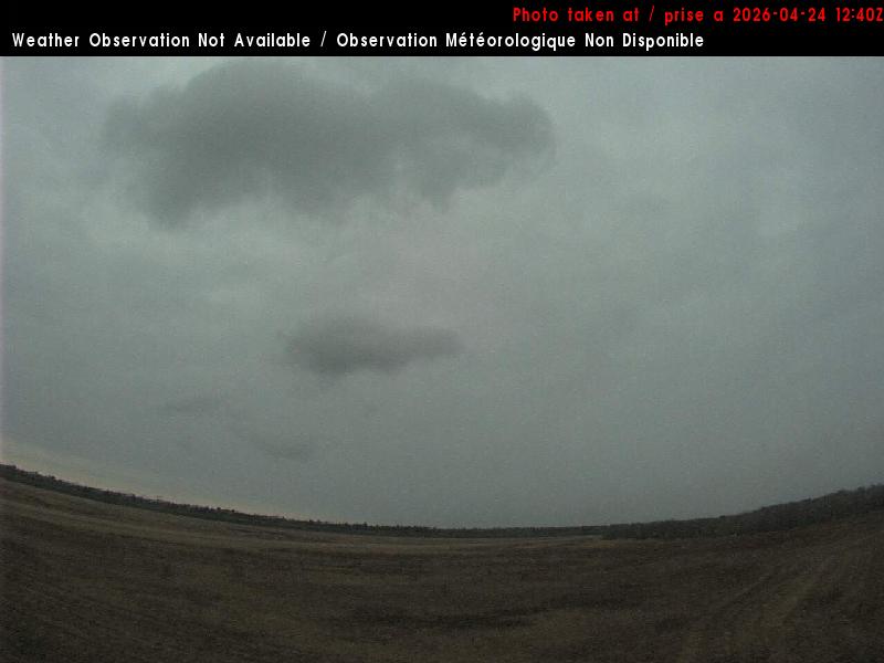 Web Cam image of Miramichi Airport (South)