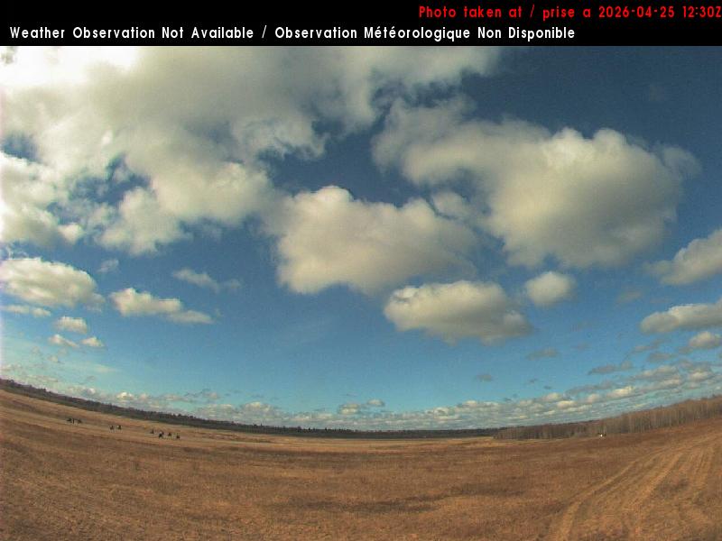 Web Cam image of Miramichi Airport (South)
