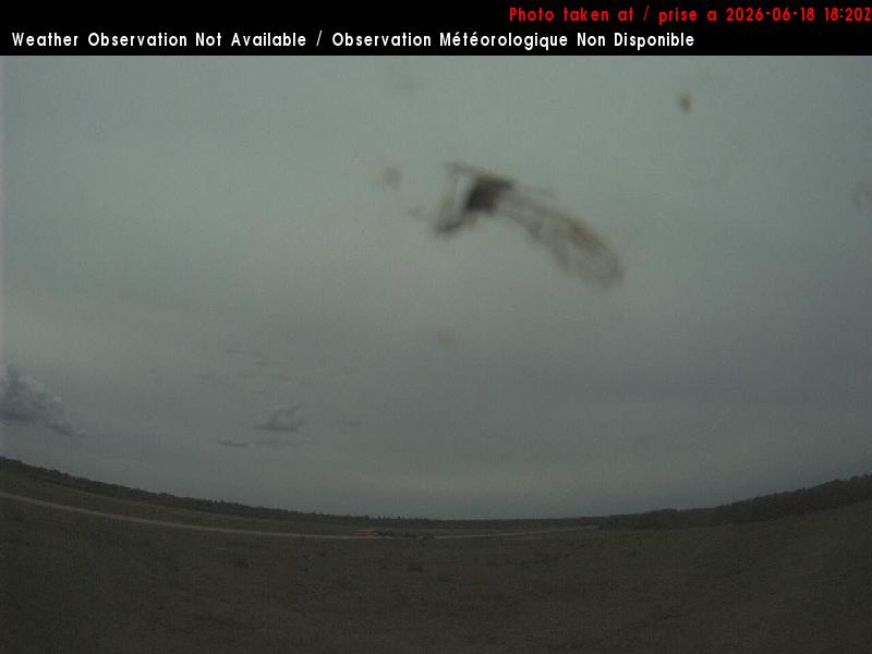 Web Cam image of Miramichi Airport (South)