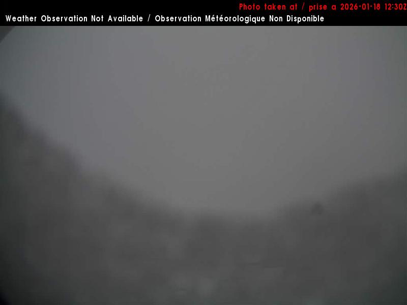 Web Cam image of Charlo Airport (East)