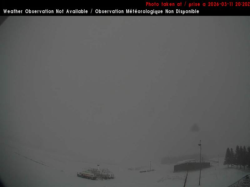 Web Cam image of Charlo Airport (East)