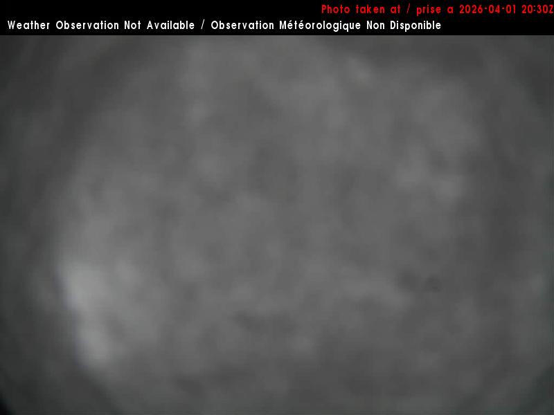Web Cam image of Charlo Airport (East)