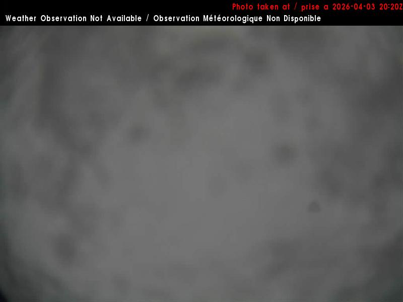 Web Cam image of Charlo Airport (East)