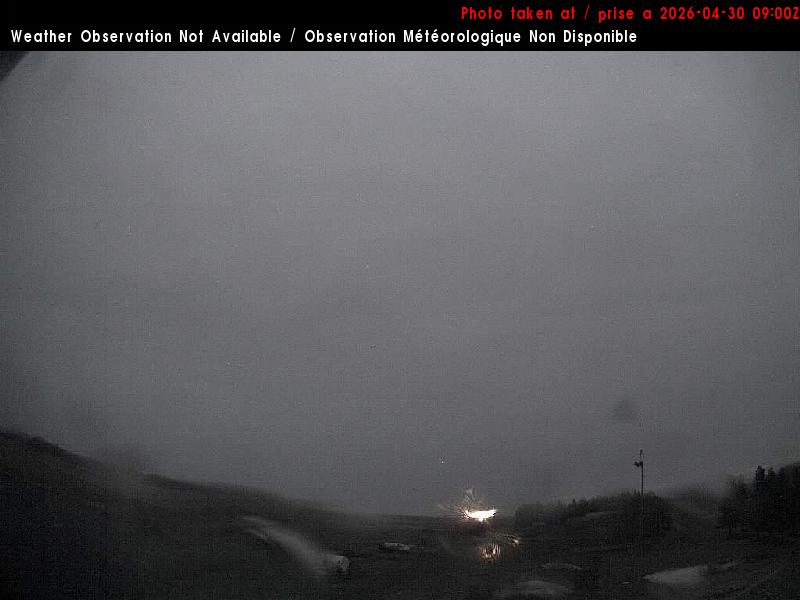 Web Cam image of Charlo Airport (East)