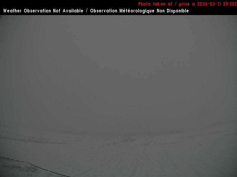 Web Cam image of Charlo Airport (North)