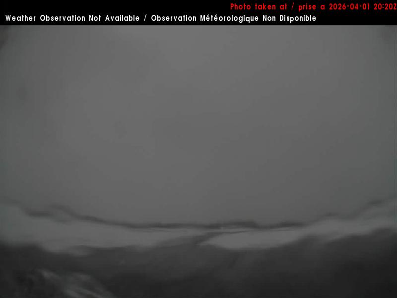 Web Cam image of Charlo Airport (North)