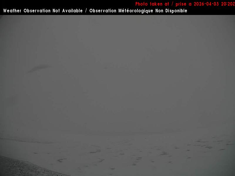 Web Cam image of Charlo Airport (North)