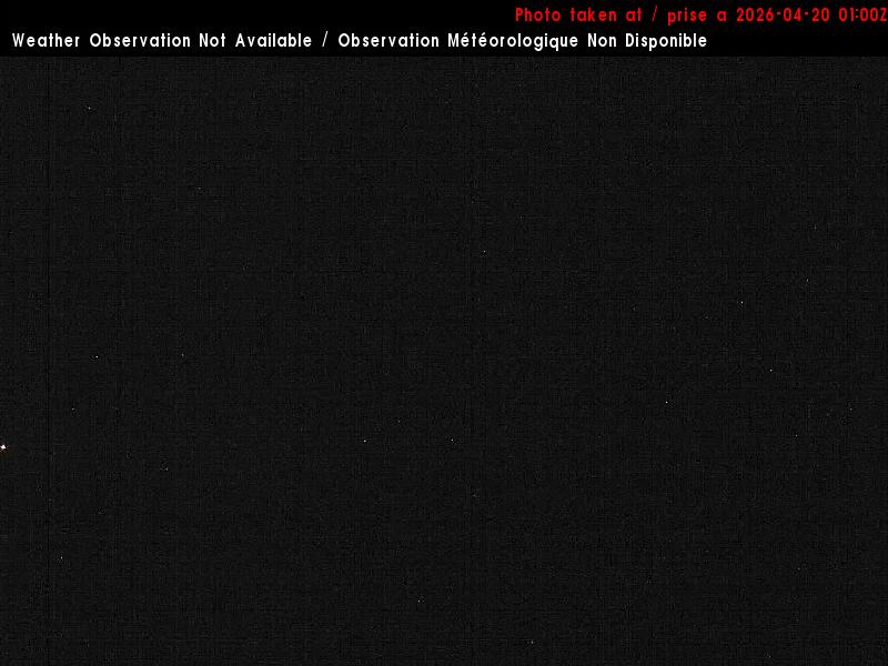 Web Cam image of Charlo Airport (North)