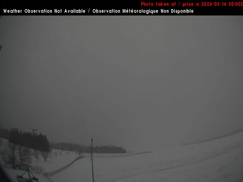 Web Cam image of Charlo Airport (North West)
